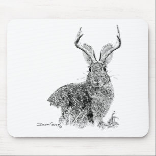 Jackalope Musmatta
