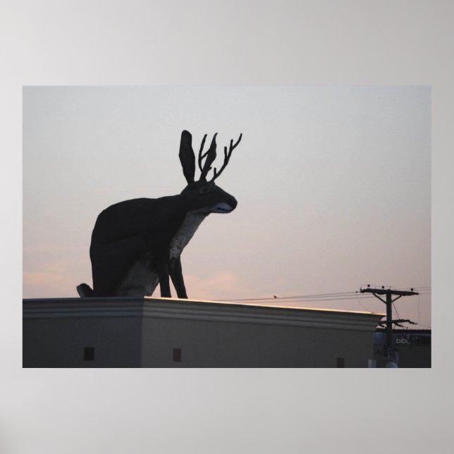 Jackalope Poster (Framsidan)