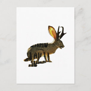 Jackalope Vykort