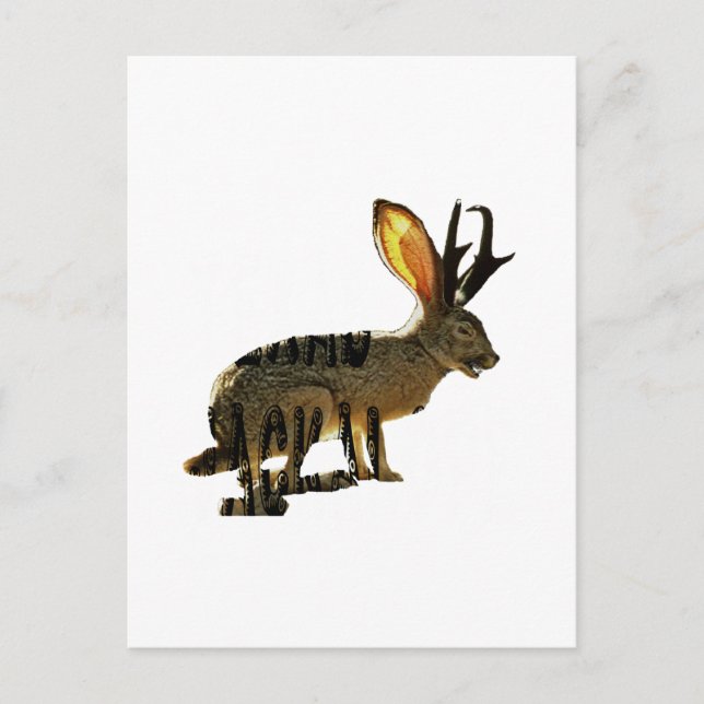 Jackalope Vykort (Framsida)