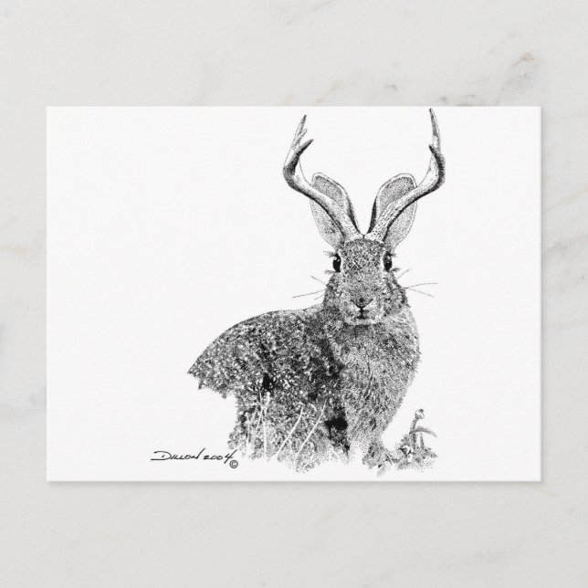 Jackalope Vykort (Framsida)
