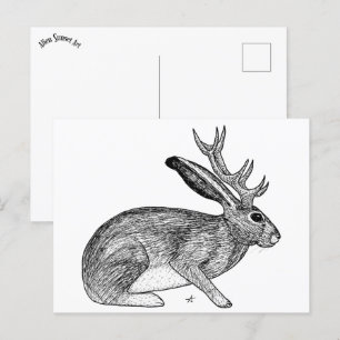 Jackalope Vykort