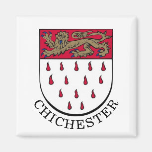Jackande av Arm av Chichester, Väster Sussex (Engl Magnet
