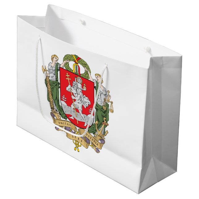 Jackande av arm av Vilnius, Litauen Large Gift Bag (Framsidan Vinklad)