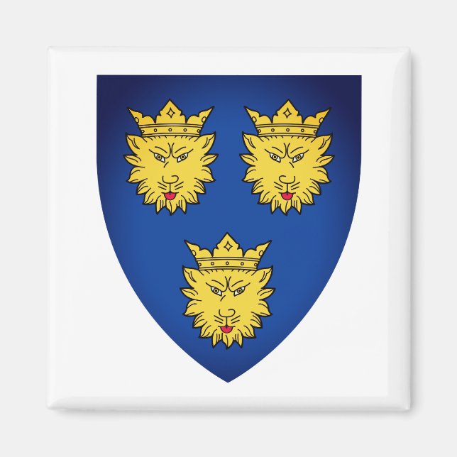 Jackande av Arm Dalmatien, Kroatien Magnet (Framsidan)