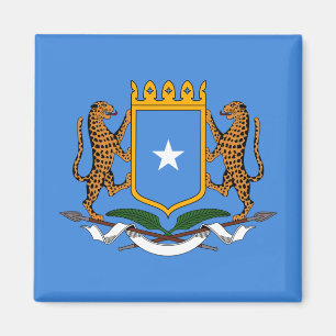 Jackande av Somalias Arm Magnet