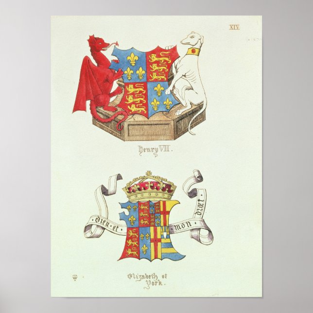 Jackar av Arm av Henry VII och Elizabeth av York Poster (Framsidan)