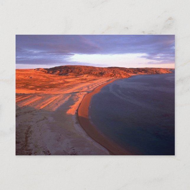 Jackar Island Kusten, Hudson Bay, NWT, Kanada Vykort (Framsida)