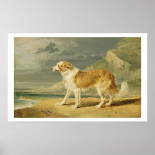 Jackat kollie, 1809 (olja ombord) poster