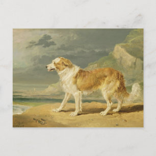 Jackat kollie, 1809 (olja ombord) vykort