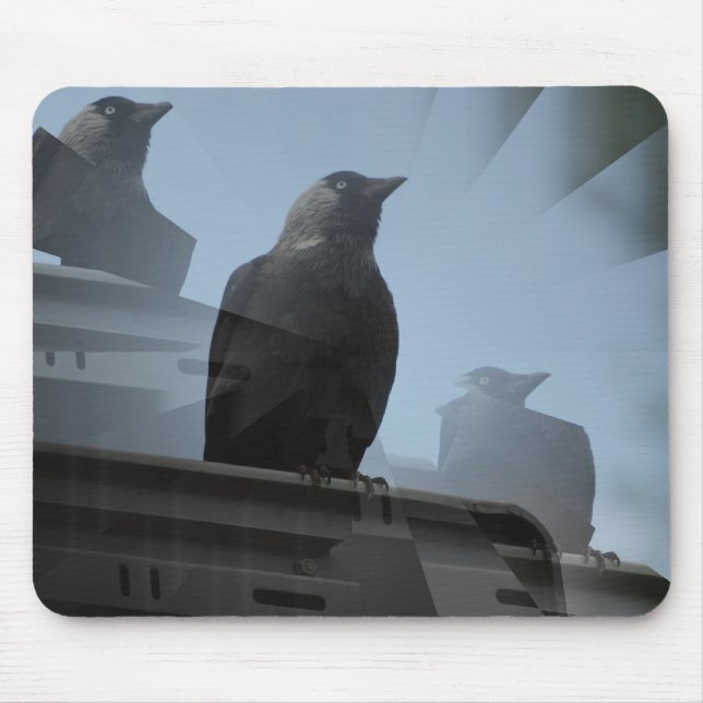 Jackdaw-fågel Mousepad Musmatta (Framsidan)