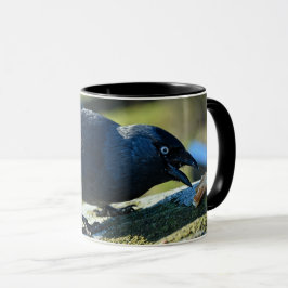 Jackdaw Mugg