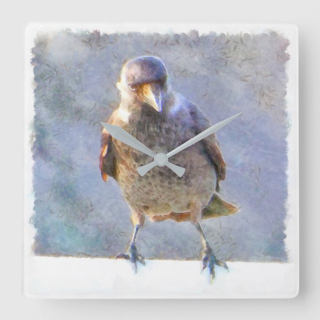 Jackdaw Watercolor Fyrkantig Klocka (Framsida)