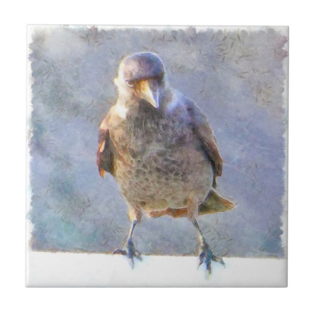 Jackdaw Watercolor Kakelplatta (Framsidan)