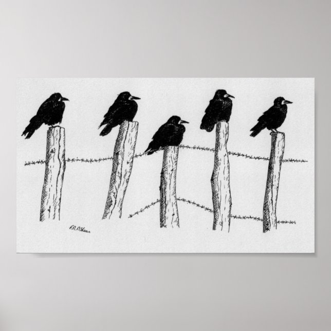 Jackdaws Poster (Framsidan)