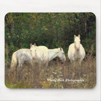 Jacken dela sig vildhästar som musen vadderar musmatta