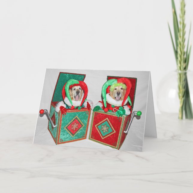 Jacken Golden Retriever i boxen Kort (Framsida)