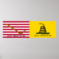 Jacken Navy & Gadsden Flaggor - Circa 1775-76