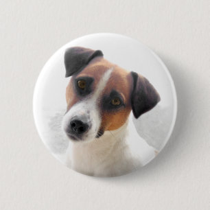 Jacken Russell knäppas Knapp
