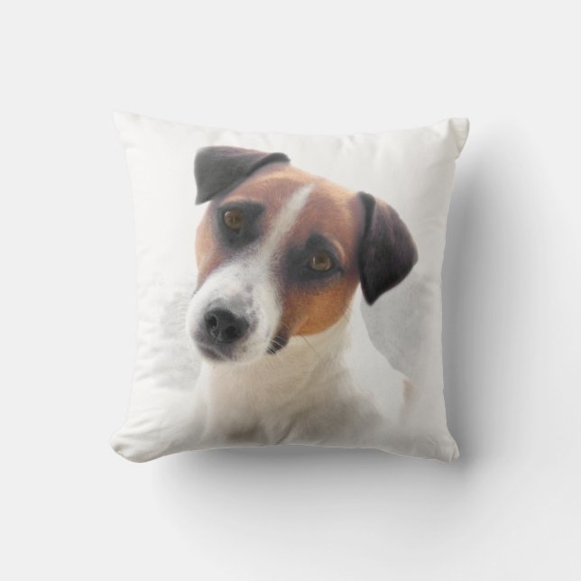 Jacken Russell kudder Kudde (Framsida)