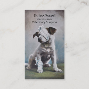 Jacken Russell med förbinder veterinären Visitkort