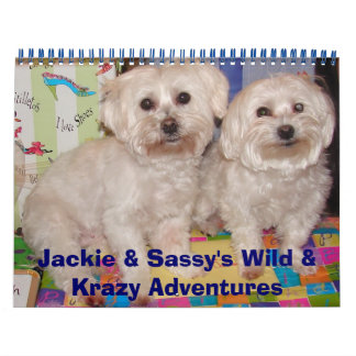 Jackie & Sassys Vild & Krazy Äventyr Kalender