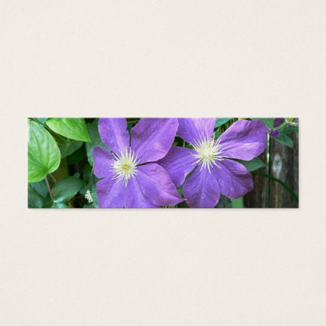 Jackmanii Clematis Litet Visitkort (Framsidan)