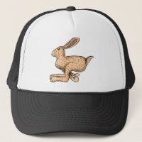 JackRabbit
