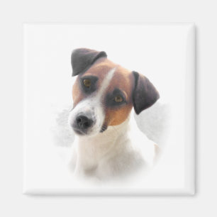 JackRussell magnet