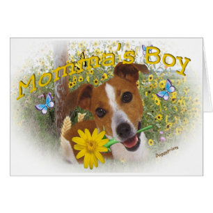 JackRussell Mommas pojke Hälsningskort