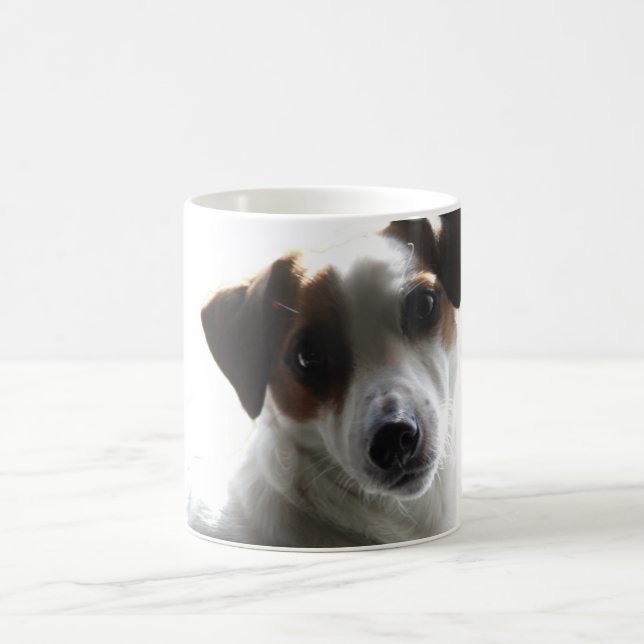 JackRussell mugg (Center)