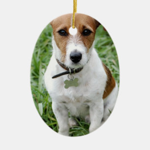 JackRussell prydnad Julgransprydnad Keramik