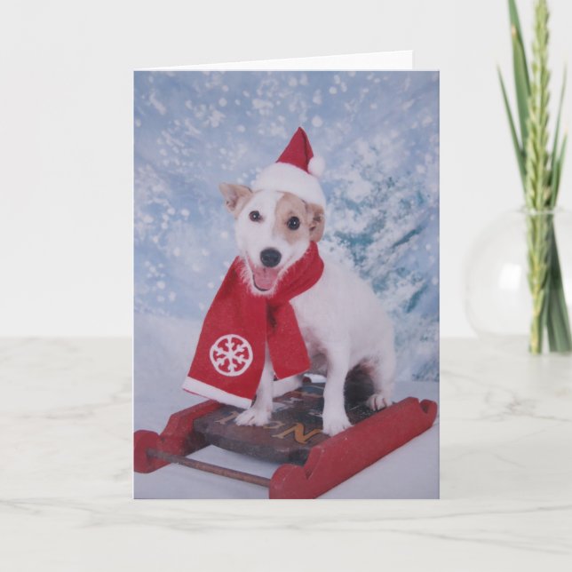 JackRussell Santa hjälpreda Helgkort (Framsida)