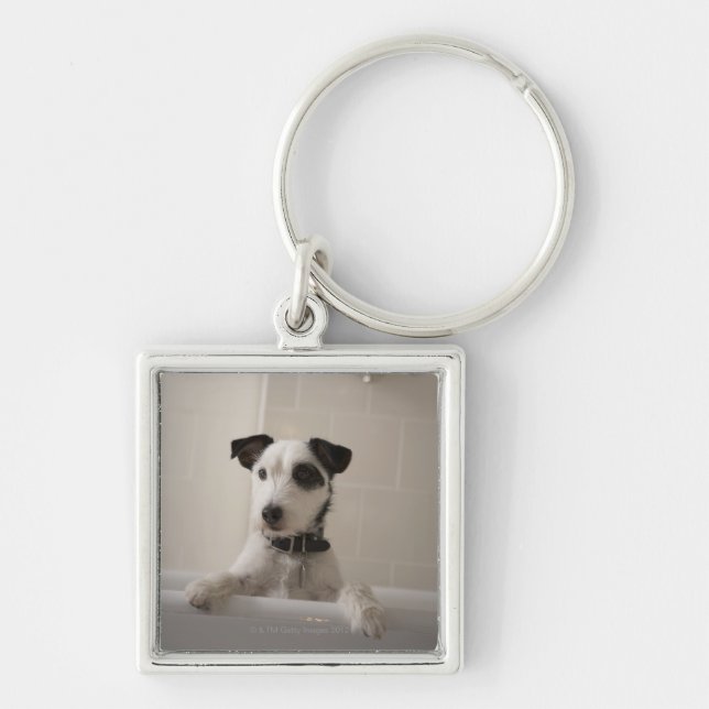 Jackrussell terrier. fyrkantig silverfärgad nyckelring (Framsidan)