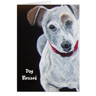JackRussell Terrier Hälsningskort