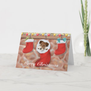 JackRussell Terrier i en strumpa Helgkort