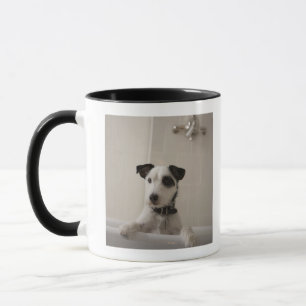 Jackrussell terrier. mugg