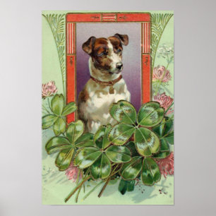 JackRussell Terrier Poster
