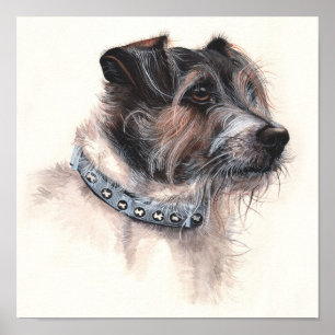 JackRussell Terrier som målas i akvarell Poster