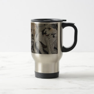 JackRussell Terriers Resemugg