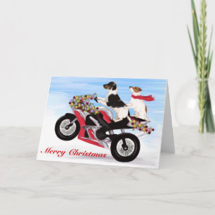 JackRussell Terriers som rider en motorcykel Helgkort