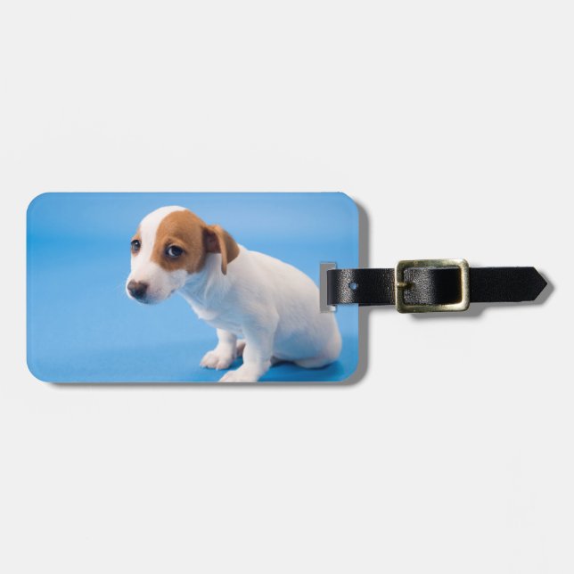 JackRussell valp Bagagebricka (Horisontell Framsida)