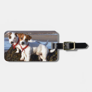 JackRussell valpar Bagagebricka