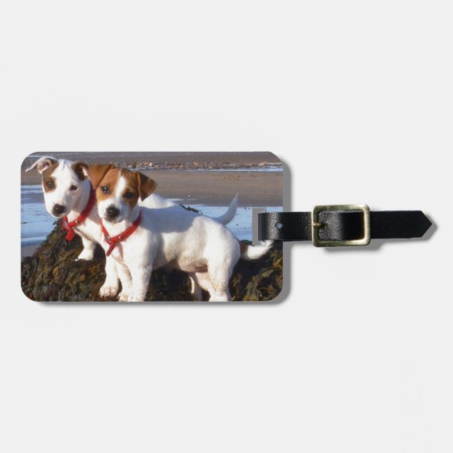 JackRussell valpar Bagagebricka (Horisontell Framsida)