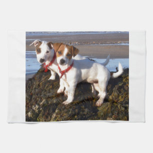 JackRussell valpar Kökshandduk