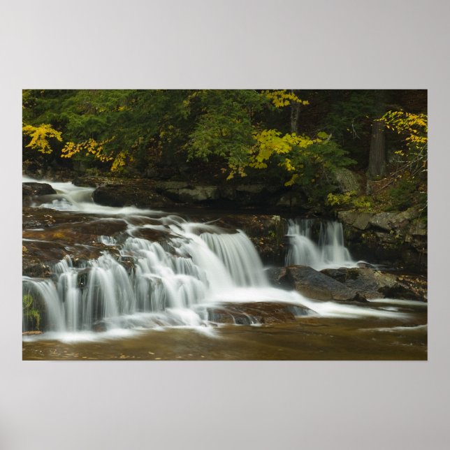 Jackson Falls, NH-utskrift Poster (Framsidan)