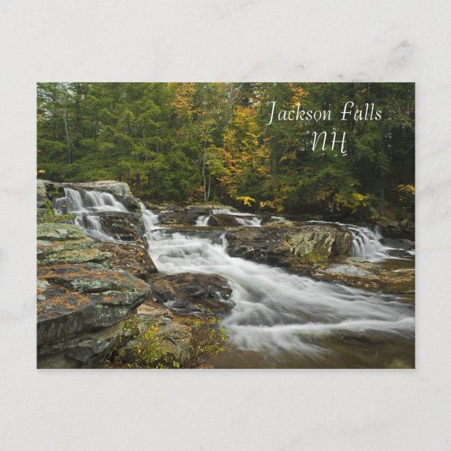 Jackson Falls, NH-vykort Vykort (Framsida)