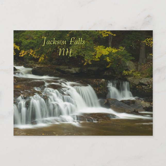 Jackson Falls, NH-vykort Vykort (Framsida)