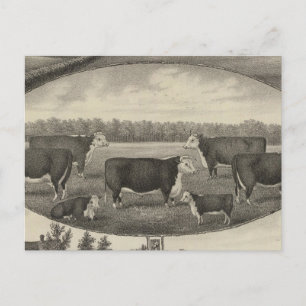 Jackson Farm, Kansas Vykort