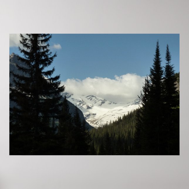Jackson Glacier-utsiktspunkt vid Glacier National  Poster (Framsidan)